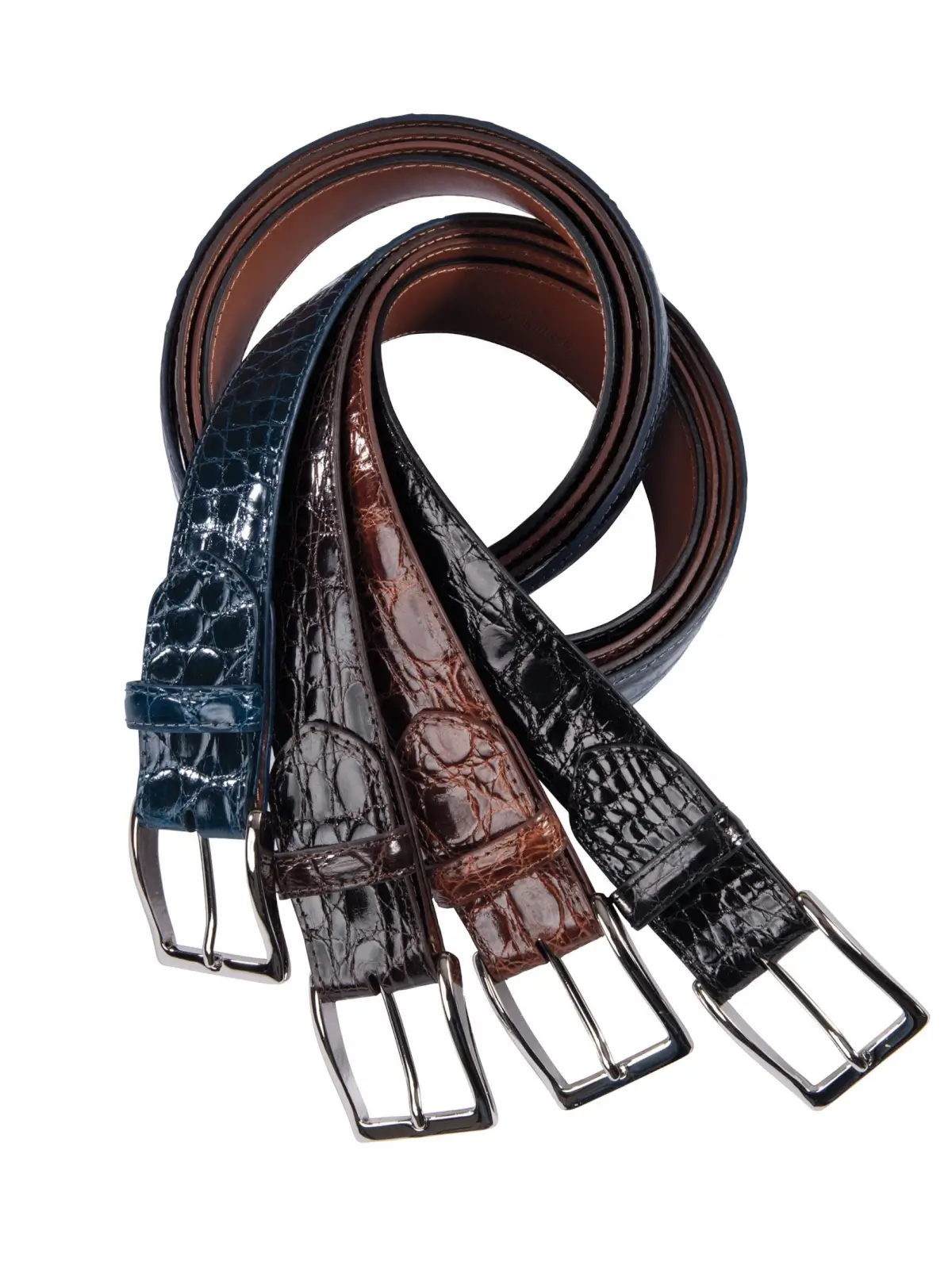 DE VECCHI by Hamilton Hodge Caiman Crocodile Belt Caiman Crocodile Belt with Covered Buckle - w.kleinberg main image 2