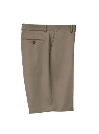 Plain-Front Walk Shorts - Image 3