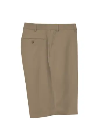 Plain-Front Walk Shorts - Image 5