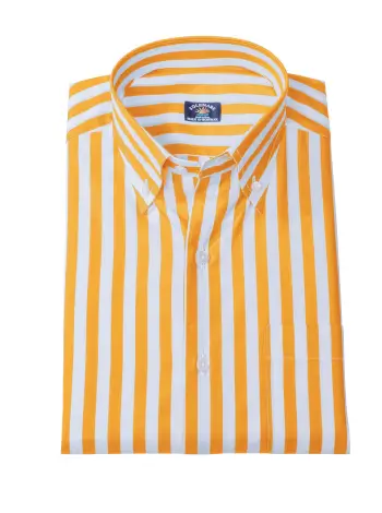 Regent Stripe Shirts - 7