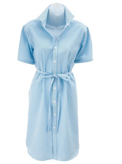 Blue Seersucker Stripe Dress