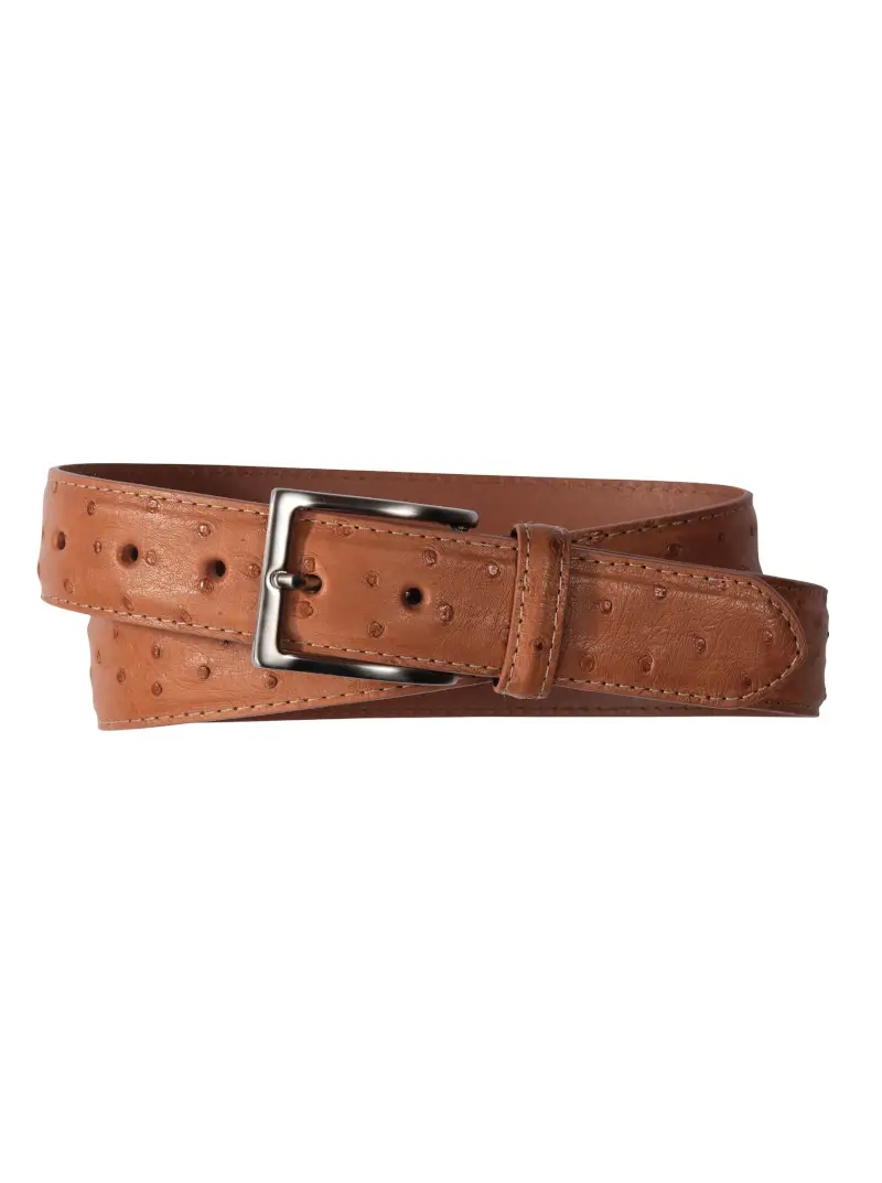 Ostrich Belt - 1